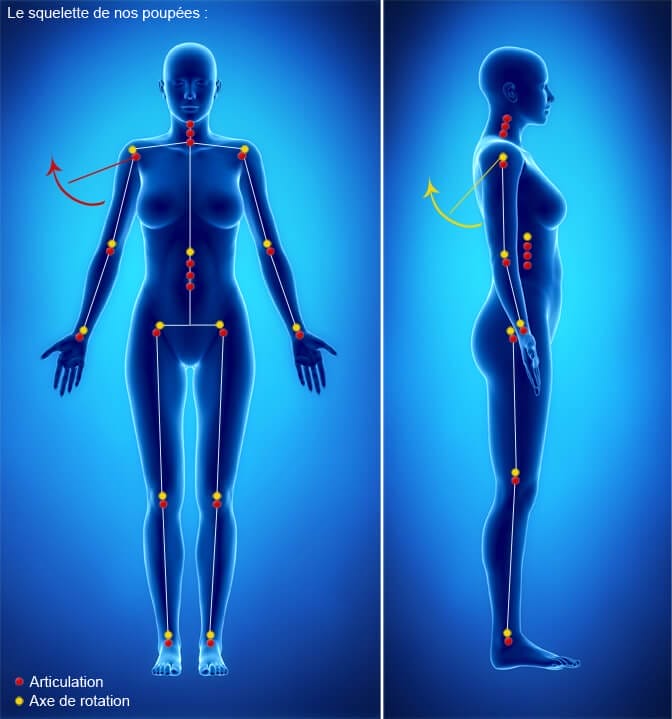 Squelette des poupées