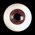 images, eyes for our silicone dolls