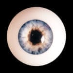 images, eyes for our silicone dolls
