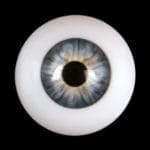 images, eyes for our silicone dolls