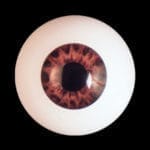 images, eyes for our silicone dolls