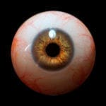 images, eyes for our silicone dolls