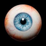 images, eyes for our silicone dolls