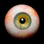 images, eyes for our silicone dolls