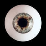 images, eyes for our silicone dolls